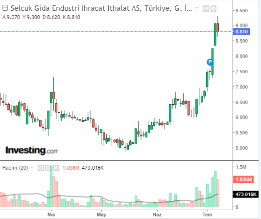 Selçuk Gıda Endustri İhracat İthalat A.Ş. (SELGD)