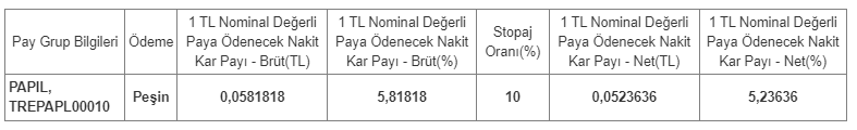 Papilon Savunma Güvenlik Sistemleri (PAPIL) 